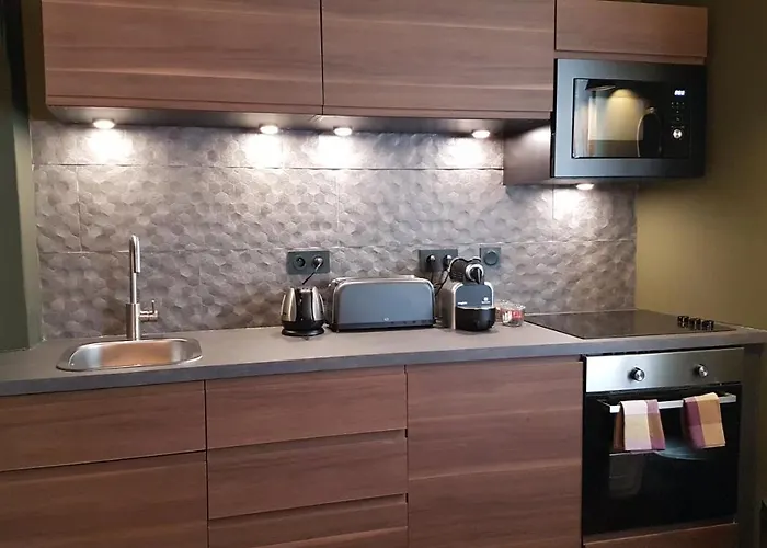 Apartment Le Velours Des Gantiers, Confort Et Hospitalite En Plein Centre Historique *